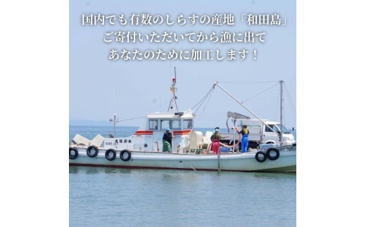 【漁師直送!】ちりめん 食べ比べ 400g/800g しらす 匠の極上ちりめん 1袋 200g 食塩無添加 6月から発送 ご飯 米 お米 おにぎり と一緒に 弁当 新鮮 鮮度 カルシウム 食品 健康
