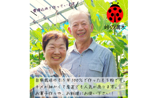 もち粉 溝木さんの餅粉 1kg(500g×2袋)/2kg(500g×4袋)グルテンフリー 白玉 みたらし団子 おしるこ 餅 餅粉 お正月 もち おもち omochi 国産 自家製 小松島市