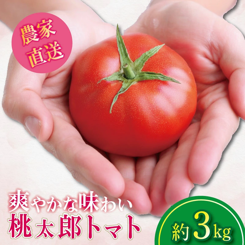 トマト 約3kg