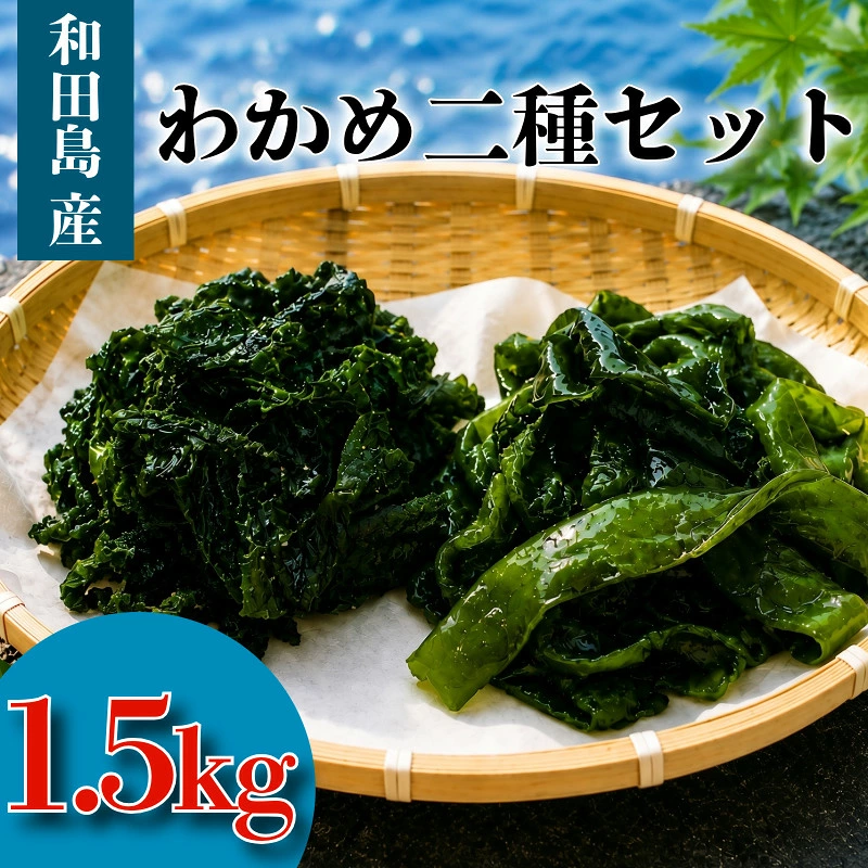わかめ 二種 セット 汐わかめ 茎わかめ 1.5kg