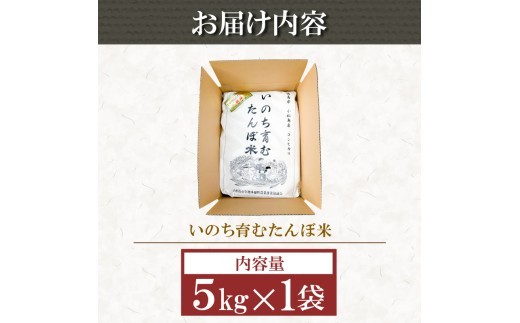 令和7年産 米 八分づき米  5kg 10kg 栽培期間中農薬不使用 米 玄米 お米 コメ こしひかり コシヒカリ ※ okome kome おむすび おにぎり 徳島県産 精米 徳島県 小松島市