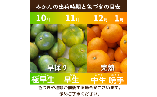 【先行予約】 【2026年10月下旬順次発送】 早生みかん 3kg ～ 5kg みかん 早生 柑橘 果物 くだもの フルーツ 国産 新鮮 甘い 農家直送 徳島県 小松島市