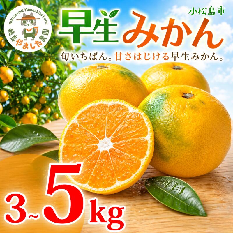 【先行予約】 【2026年10月下旬順次発送】 早生みかん 3kg ～ 5kg みかん 早生 柑橘 果物 くだもの フルーツ 国産 新鮮 甘い 農家直送 徳島県 小松島市
