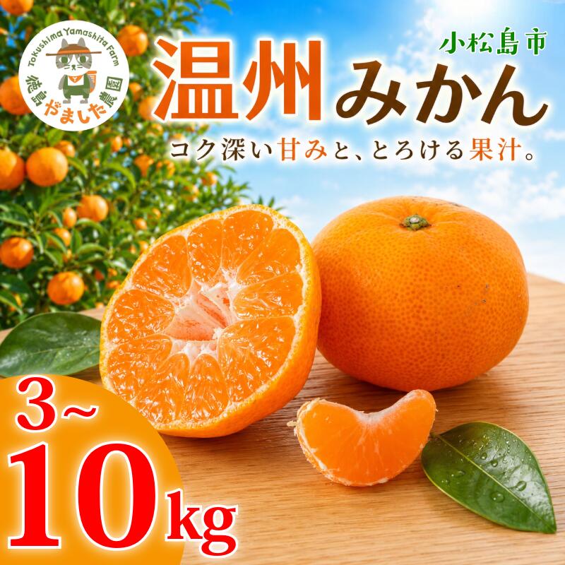 極早生みかん 3kg