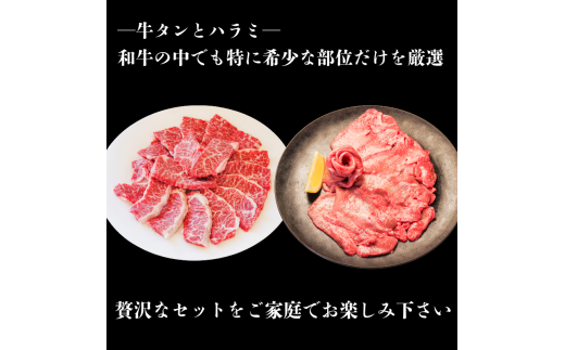 【阿波牛希少部位セット】 黒毛和牛 牛タン 牛ハラミ セット 計500g 塩味 特選 国産 牛たん はらみ 牛肉 焼肉用 薄切り 牛タン 牛肉 焼き肉 BBQ 薄切り ぎゅうたん スライス 焼肉 お弁