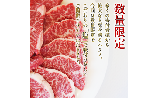 【阿波牛希少部位セット】 黒毛和牛 牛タン 牛ハラミ セット 計500g 塩味 特選 国産 牛たん はらみ 牛肉 焼肉用 薄切り 牛タン 牛肉 焼き肉 BBQ 薄切り ぎゅうたん スライス 焼肉 お弁