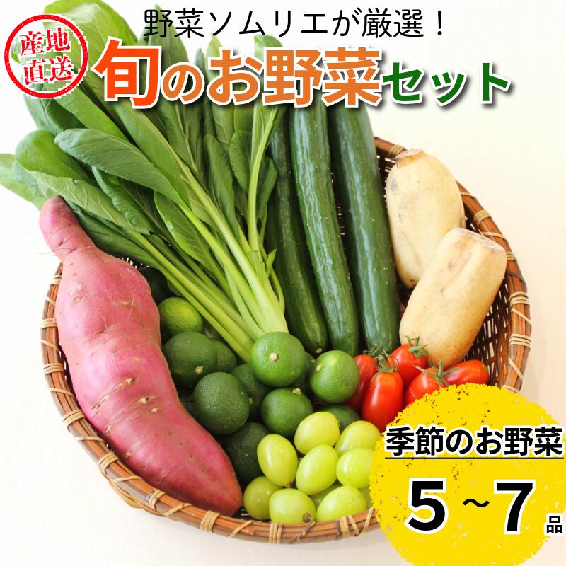 野菜5~7種セット 旬 エシカル 身体に優しい