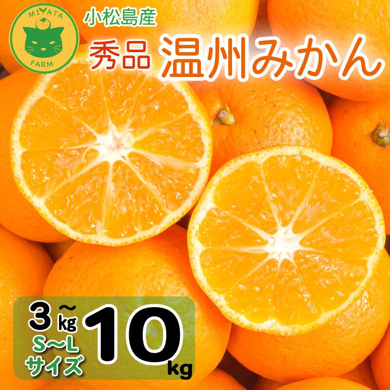 温州みかん 3kg