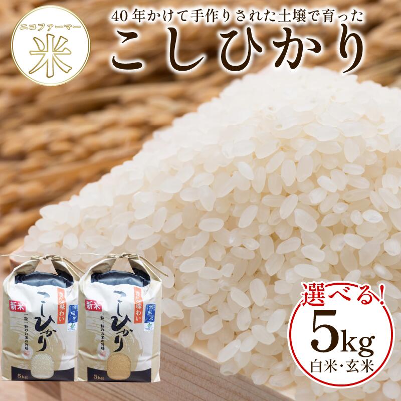 令和8年産 新米 コシヒカリ 5kg