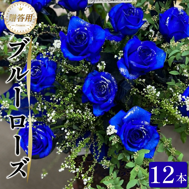 生花 ブルーローズ 12本