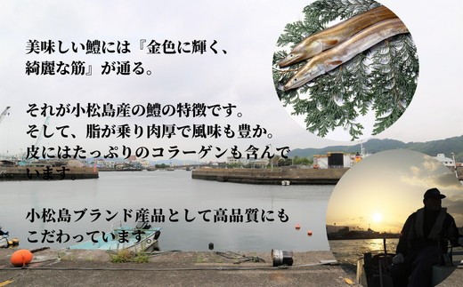 【2026年8月発送】鱧 ハモ はも 国産 切り身 500g 冷凍 骨切り 徳島県 小松島市
