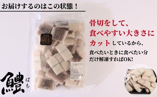 【2026年8月発送】鱧 ハモ はも 国産 切り身 500g 冷凍 骨切り 徳島県 小松島市