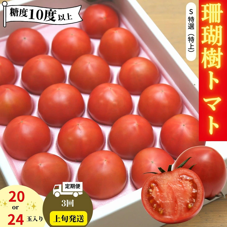 定期便 3回 トマト 1kg