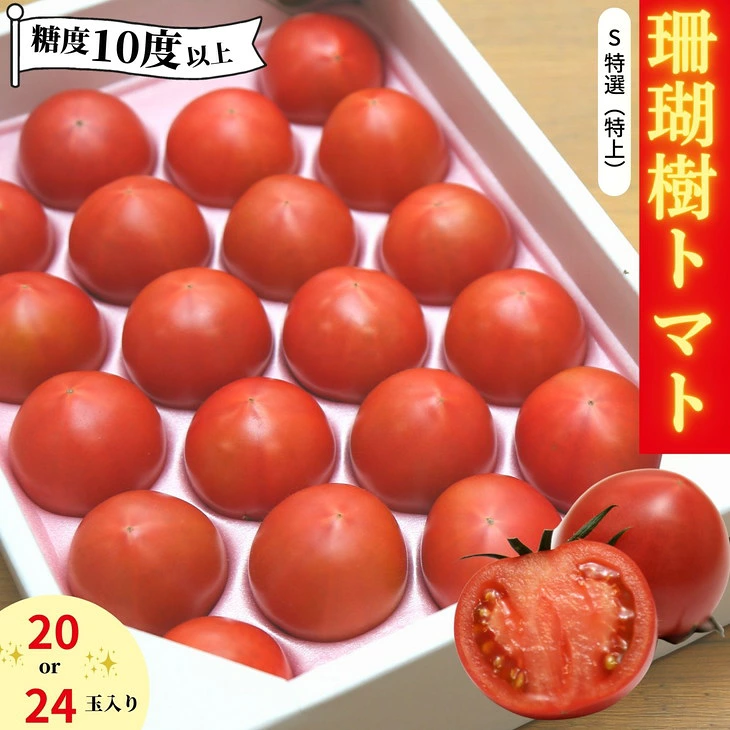 トマト 2027年 フルーツ 1kg
