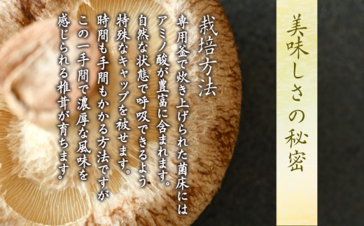 【菌床栽培】 しいたけ 1kg | きのこ キノコ 生しいたけ 生椎茸 生シイタケ 菌床しいたけ 菌床椎茸 菌床シイタケ 茸 siitake 徳島 小松島