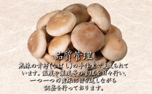 【菌床栽培】 しいたけ 1kg | きのこ キノコ 生しいたけ 生椎茸 生シイタケ 菌床しいたけ 菌床椎茸 菌床シイタケ 茸 siitake 徳島 小松島
