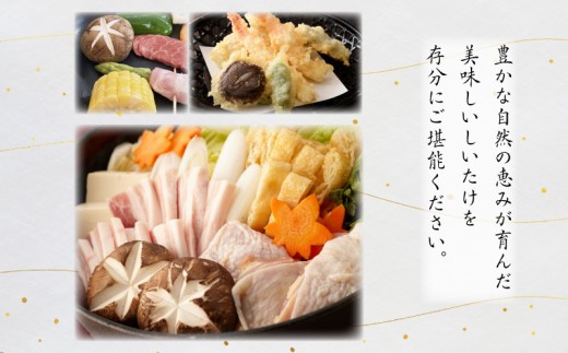【菌床栽培】 しいたけ 1kg | きのこ キノコ 生しいたけ 生椎茸 生シイタケ 菌床しいたけ 菌床椎茸 菌床シイタケ 茸 siitake 徳島 小松島