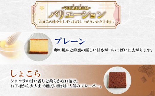 カステラ 詰め合わせ 5種 15個 入り 個包装 本格 こだわり製法  和菓子 焼き菓子 贈答用 ギフト プレゼント お祝い お返し にも 米粉 抹茶 ショコラ 柚子 プレーン