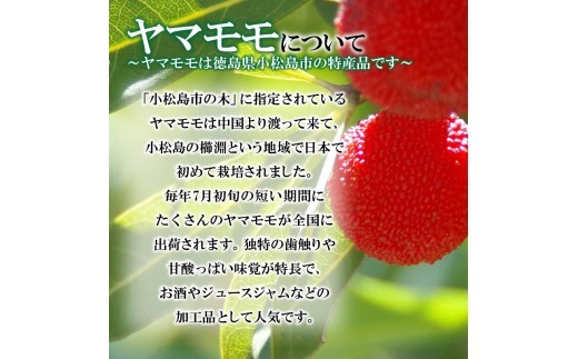 焼き菓子 やまもも パイ 12個入り 個包装 小松島 名菓 洋菓子 和菓子 ケーキ お中元 ギフト 贈答用 にも おすすめ 常温 【北海道･沖縄･離島・東北への配送不可】