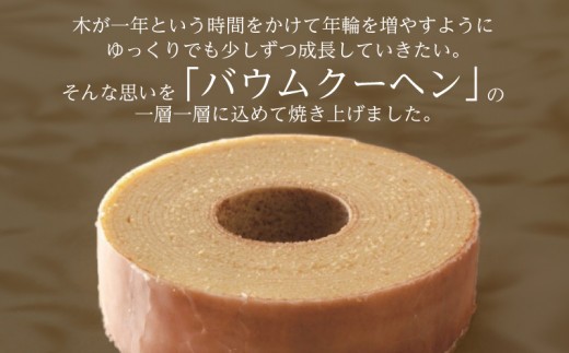 バウムクーヘン Mサイズ 洋菓子 お菓子 焼き菓子 母の日 徳島県 北島町 スイーツ お菓子 お土産 手土産 西洋菓子 バームクーヘン おやつ デザート 洋菓子 お取り寄せグルメ 人気 送料無料