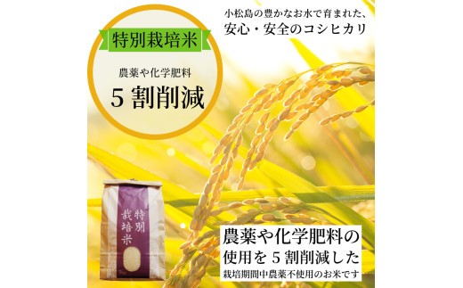 【2026年9月順次発送】令和8年産 米 白米 コシヒカリ 1.5kg～10kg  特別栽培米 健康  安心 安全  お試し 少量 小分け 四国 徳島 小松島 米 おいしい kome お米 こめ おこ