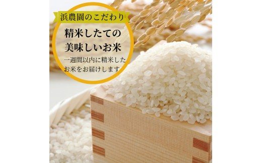 【2026年9月順次発送】令和8年産 米 白米 コシヒカリ 1.5kg～10kg  特別栽培米 健康  安心 安全  お試し 少量 小分け 四国 徳島 小松島 米 おいしい kome お米 こめ おこ