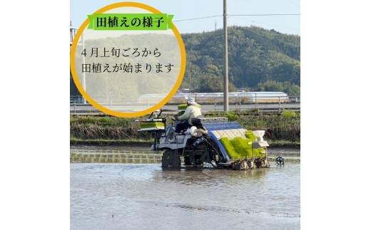 【2026年9月順次発送】令和8年産 米 白米 コシヒカリ 1.5kg～10kg  特別栽培米 健康  安心 安全  お試し 少量 小分け 四国 徳島 小松島 米 おいしい kome お米 こめ おこ