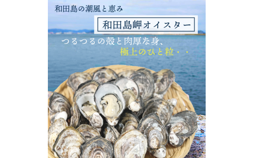 牡蠣 かき カキ 生ガキ 12個 計480g~600g 生食用 殻付きかき 数量限定 オイスター 貝柱 殻付牡蠣 生牡蠣 蒸し焼き 焼き牡蠣 カンカン焼き 加熱用牡蠣 海鮮 海の幸 魚介類 魚貝類 殻