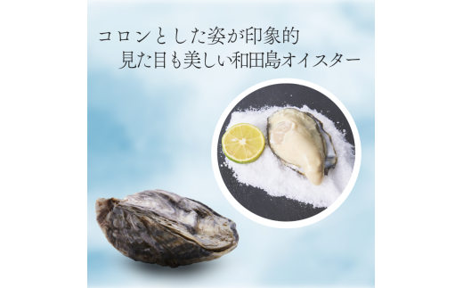 牡蠣 かき カキ 生ガキ 12個 計480g~600g 生食用 殻付きかき 数量限定 オイスター 貝柱 殻付牡蠣 生牡蠣 蒸し焼き 焼き牡蠣 カンカン焼き 加熱用牡蠣 海鮮 海の幸 魚介類 魚貝類 殻