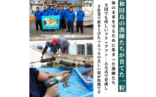 牡蠣 かき カキ 生ガキ 12個 計480g~600g 生食用 殻付きかき 数量限定 オイスター 貝柱 殻付牡蠣 生牡蠣 蒸し焼き 焼き牡蠣 カンカン焼き 加熱用牡蠣 海鮮 海の幸 魚介類 魚貝類 殻