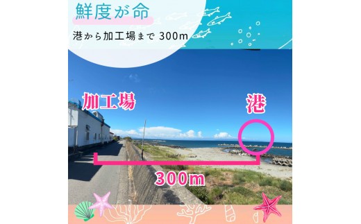 【漁師が獲れたて即加工！】しらす 1kg 朝どれ 大容量 水揚げ 釜揚げ しらす丼 魚介 シーフード 特産品 海産物 新鮮 惣菜  国産 鮮度 ふるさと納税 採れたて 安全 安心 カルシウム 徳島県