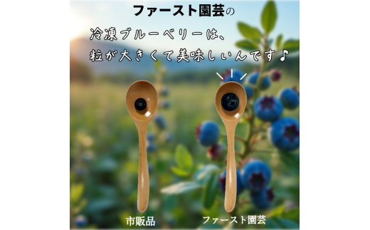 訳あり ブルーベリー 冷凍 約 1kg~2kg 大粒 産地直送 フルーツ ブルーベリー 新鮮 人気 果物 おすすめ フルーツ 四国 徳島 小松島 【送料無料】 産地 直送 新鮮 夏 アイス シャーベット ソフ