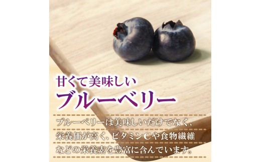 訳あり ブルーベリー 冷凍 約 1kg~2kg 大粒 産地直送 フルーツ ブルーベリー 新鮮 人気 果物 おすすめ フルーツ 四国 徳島 小松島 【送料無料】 産地 直送 新鮮 夏 アイス シャーベット ソフ