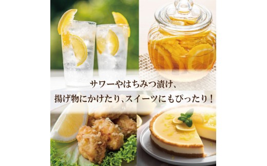 【先行予約】 【2026年10月上旬順次発送】 レモン 1.2kg (10～12個)  レモン れもん 檸檬 柑橘 フルーツ 果物 完熟 国産 ノーワックス 農家直送 新鮮 果汁 レモンサワー  お酒