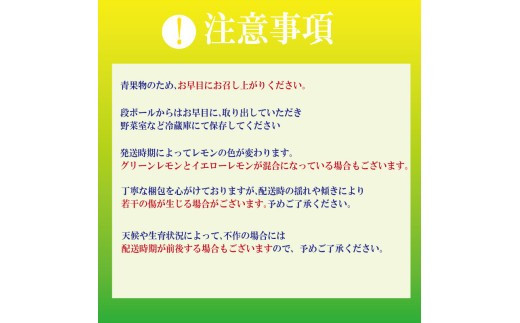 【先行予約】 【2026年10月上旬順次発送】 レモン 1.2kg (10～12個)  レモン れもん 檸檬 柑橘 フルーツ 果物 完熟 国産 ノーワックス 農家直送 新鮮 果汁 レモンサワー  お酒