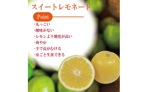 【先行予約】 【2026年10月上旬順次発送】 スイートレモネード 1.2kg (10～12個)  レモン れもん 檸檬 柑橘 フルーツ 果物 完熟 国産 ノーワックス 農家直送 新鮮 果汁 レモンサ