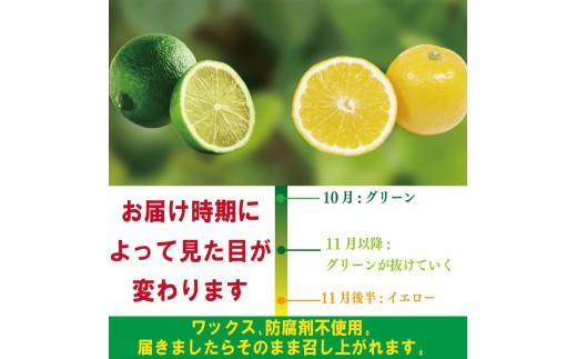 【先行予約】 【2026年10月上旬順次発送】 スイートレモネード 1.2kg (10～12個)  レモン れもん 檸檬 柑橘 フルーツ 果物 完熟 国産 ノーワックス 農家直送 新鮮 果汁 レモンサ