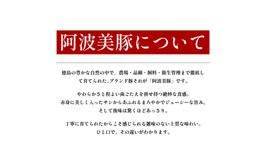 豚まん 国産 ブランド豚 阿波美豚 100% 使用 とくしまん 10～30個 冷凍 小分け 肉まん 無添加 中華まん 冷凍 人気 おすすめ 惣菜 おやつ 取り寄せ 食品 点心 中華 蒸し料理 レンジ調