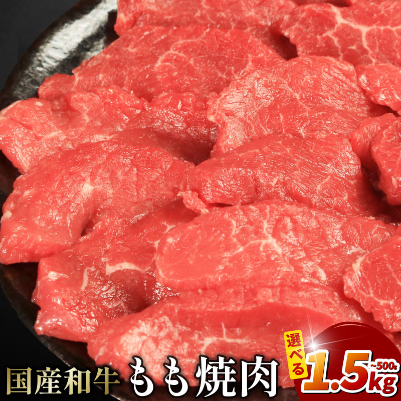 和牛 もも肉 焼肉用 焼肉セット 容量 500g