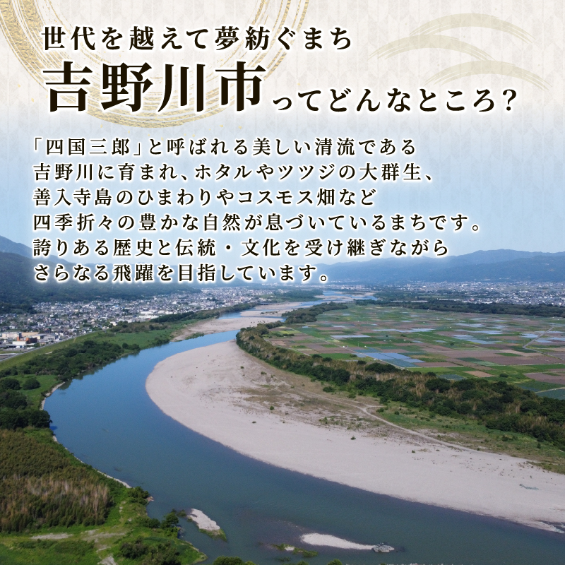 国産和牛 切り落とし ウデバラ スライス 冷凍 牛肉 選べる容量 500g・1kg・1.5kg 便利パック 人気 カレー すき焼き しゃぶしゃぶ 牛丼 焼き肉 おかず おつまみ 贈答 プレゼント 徳島