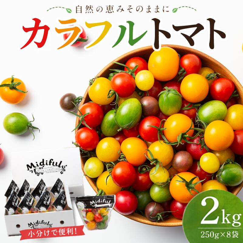 ミニトマト カラフル ミディトマト 2kg
