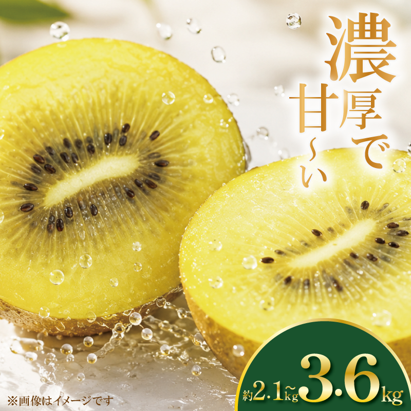 訳あり キウイ ゴールドキウイ 選べる 容量 約2.1kg~3.6kg S~Mサイズ イエロージョイ 先行予約 糖度 16度 キウイフルーツ