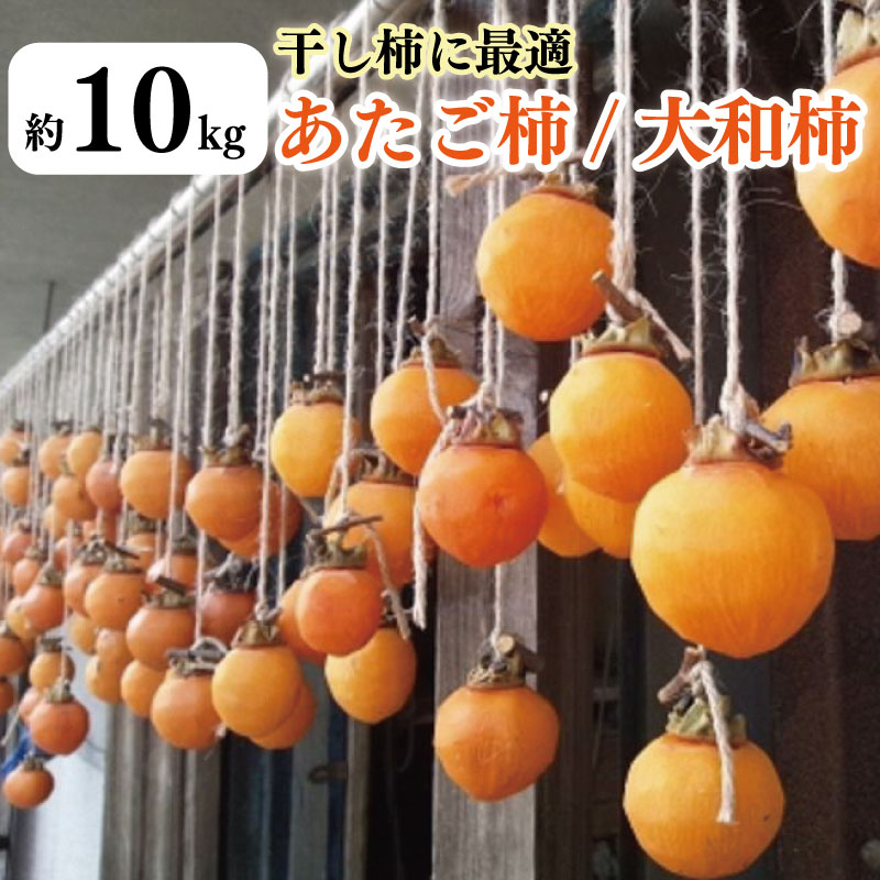 柿 10kg 干し柿 に最適な あたご柿 または 大和柿 家庭用  レシピ付き 先行予約 2026年11月上旬～発送予定 果物 フルーツ デザート ケーキ ゼリー ジュース アイス ジャム 甘い カキ