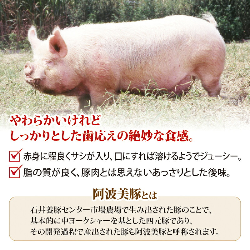 チャーシュー 選べる 容量 600g 800g 1kg 1箱 200g 国産 豚肉 ブランド 阿波美豚 焼豚 レトルト ぶたにく 豚 ぶた ポーク ラーメン 炒飯 チャーハン 常温 長期保存 備蓄