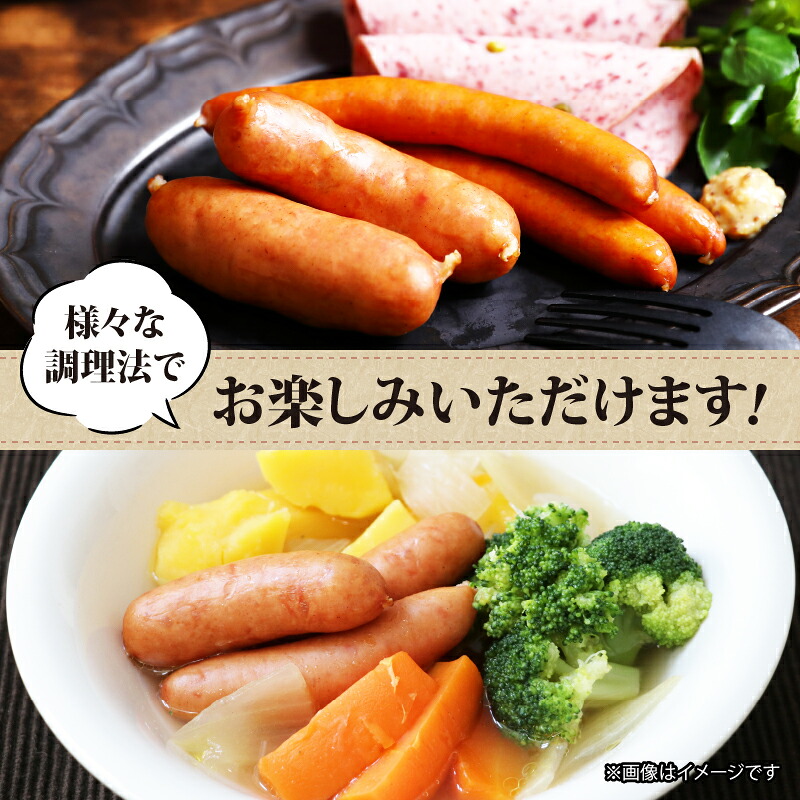 国産 豚肉 パクパクソーセージ 選べる 480g 720g 1200g 1920g 無塩せき 添加物 不使用 冷凍 真空パック 小分け 豚 ぶた 豚肉 ポーク 肉 挽き肉 ミンチ ウィンナー