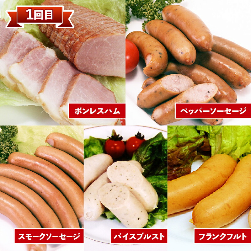 定期便 3回 ソーセージ ハム 詰合せセット ベーコン フランクフルト アイスバイン レトルトカレー 焼豚 煮込み 添加物 不使用 惣菜 おかず 弁当 おつまみ 食品 簡単調理 冷凍 真空パック