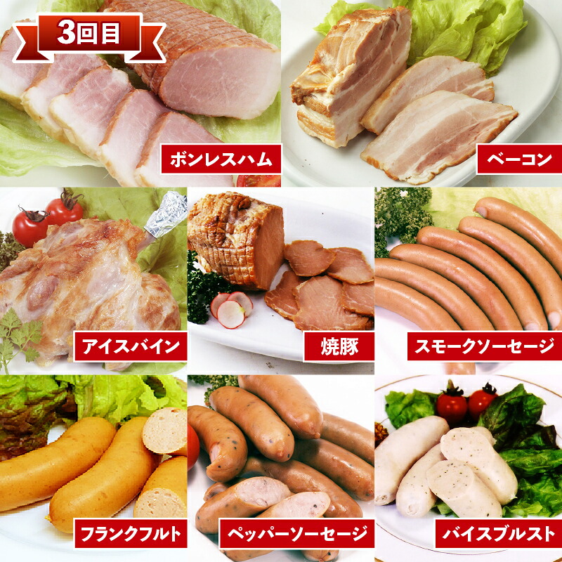 定期便 3回 ソーセージ ハム 詰合せセット ベーコン フランクフルト アイスバイン レトルトカレー 焼豚 煮込み 添加物 不使用 惣菜 おかず 弁当 おつまみ 食品 簡単調理 冷凍 真空パック