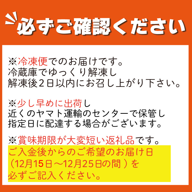 クリスマスケーキ フルーツタルト 5号 冷凍 フルーツ スイーツ デザート 洋菓子 果物 フルーツ 苺 いちご オレンジ キウイフルーツ ブルーベリー パイン タルト