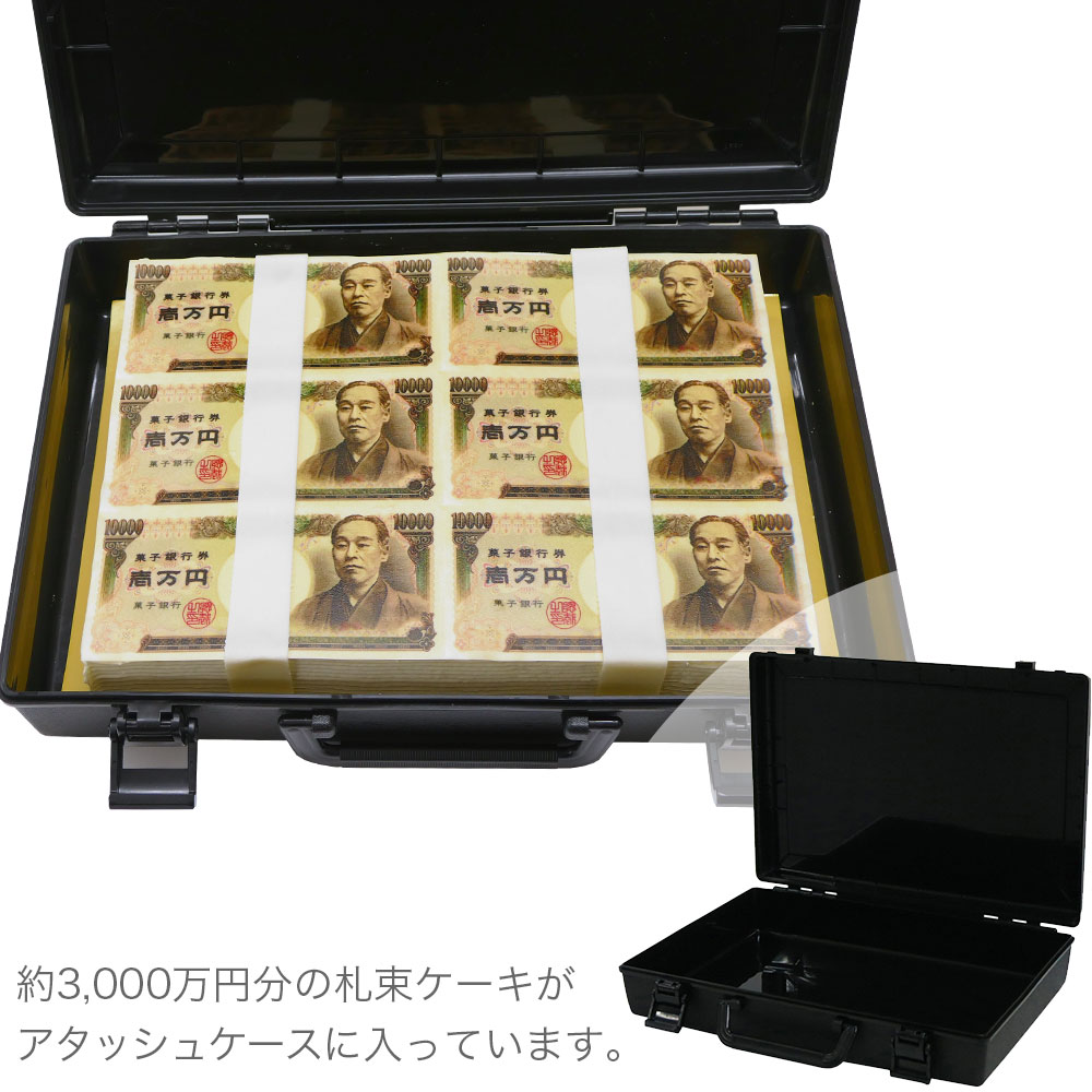 日時指定可 億万長者ケーキ 30×22cm 16～20名様用 冷凍 ケーキ おもしろケーキ パーティー バラエティ 1万円 洋菓子 焼菓子 デザート スイーツ チョコレート チョコ アイス ゼリー