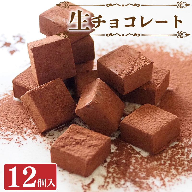 生チョコ 12個 セット バレンタイン 冷凍 チョコレート スイーツ 洋菓子 デザート お菓子 おやつ 誕生日 記念日 ギフト プレゼント 贈答 バレンタイン 送料無料 徳島県 阿波市